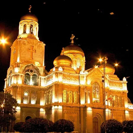 Homex #varna-center
